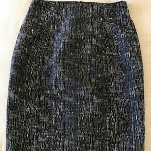 The Limited Sophie Theallet Skirt